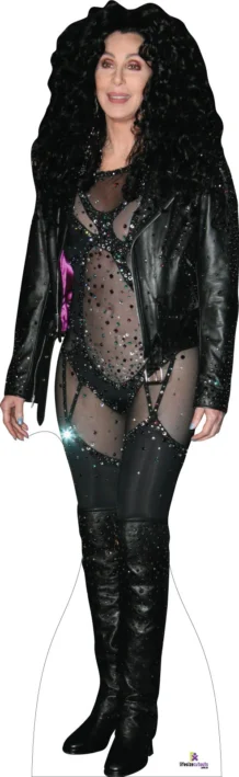 Cher 349 Celebrity Cutout
