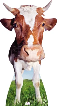 Cow With Huge Head 202 Cardboard Cutout