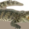 Crocodile Cardboard Cutout