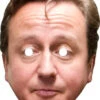 David Cameron Celebrity Mask