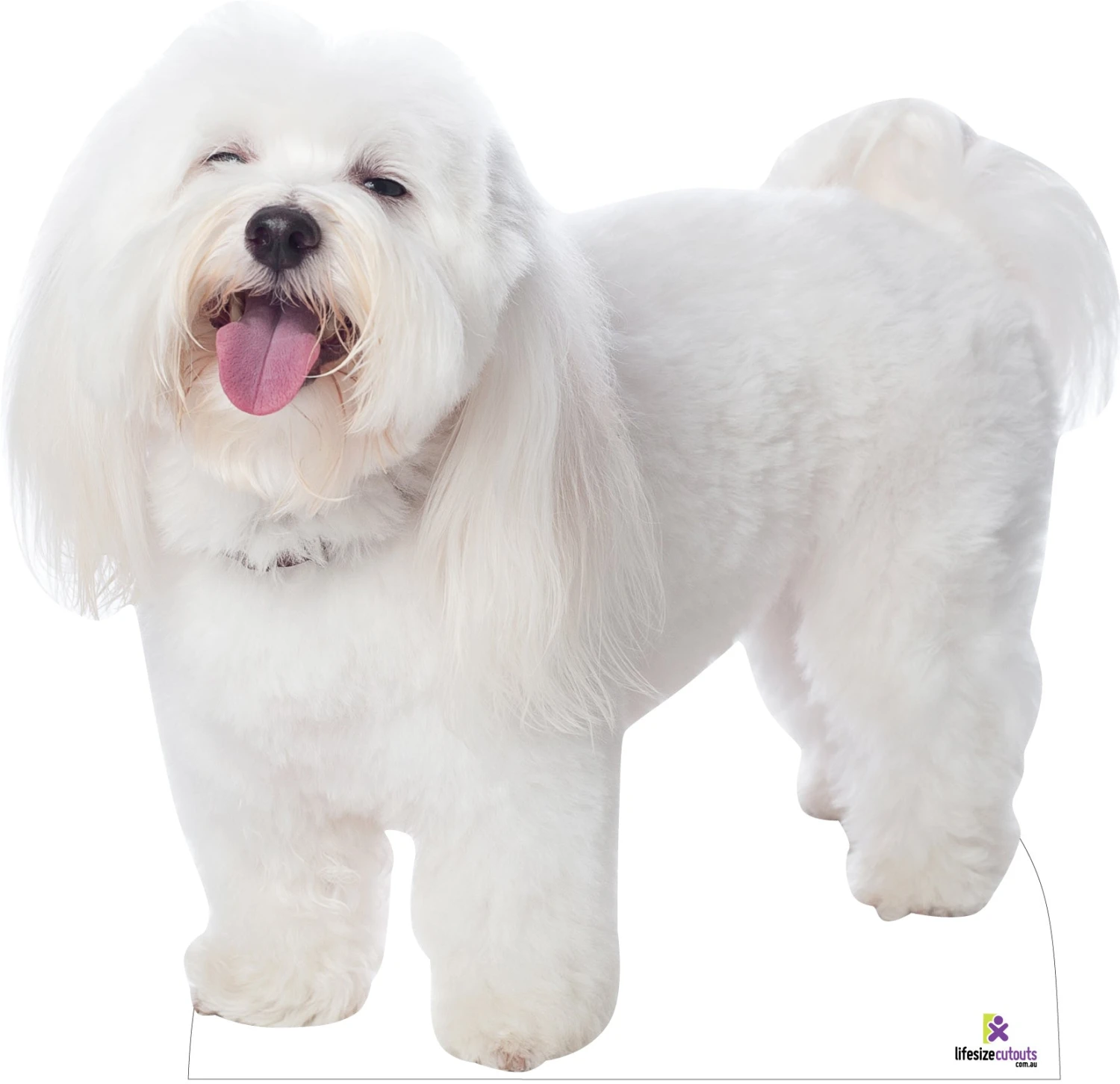 Custom Lifesize Dog Cutout - Small - Side 3 Custom Lifesize Dog Cutout - Small - Side