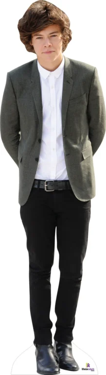 Harry Styles One Direction 889 Celebrity Cutout
