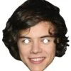 Harry Styles One Direction Celebrity Mask
