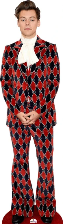 Harry Styles In Red And Black Suit 585 Celebrity Cutout