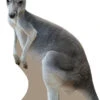Kangaroo 876 Cardboard Cutout -Lifesize Cutouts Shop kangaroo cutout 876 1200mm