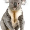 Koala Cardboard Cutout -Lifesize Cutouts Shop koala cutout 750mm