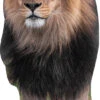 Male Lion 451 Cardboard Cutout -Lifesize Cutouts Shop lion male 1200mm 451