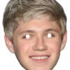Niall Horan One Direction Celebrity Mask