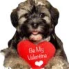 Puppy "Be My Valentine" Cutout -Lifesize Cutouts Shop puppy be my valentine
