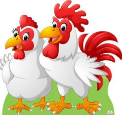 Chickens - Rooster And Hen 870 Cutout - 75cm