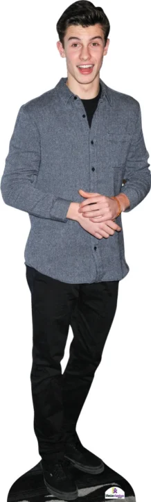 Shawn Mendes 652 Celebrity Cutout