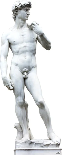 Statue Of David 277 Cardboard Cutout