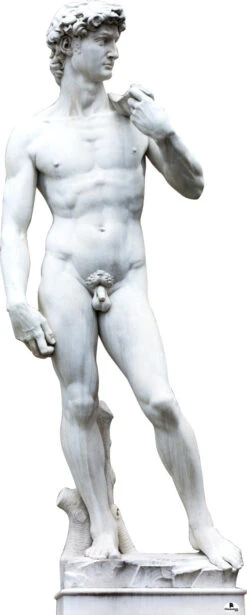 Statue Of David 277 Cardboard Cutout