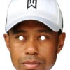 Tiger Woods Celebrity Mask