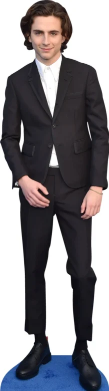 Timothee Chalamet 022 Celebrity Cutout